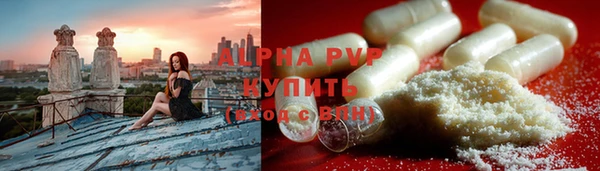 хмурый Абаза