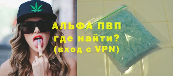 хмурый Абаза