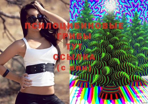 мескалин Абинск