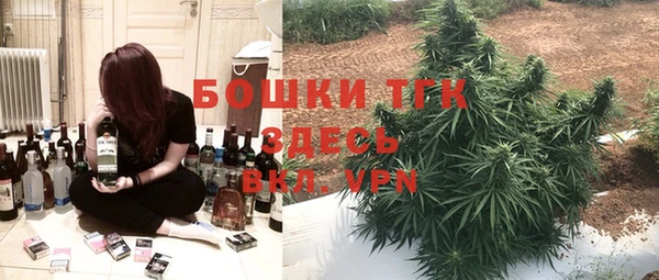 хмурый Абаза