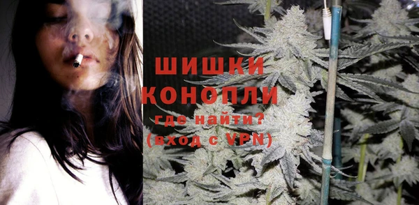 хмурый Абаза