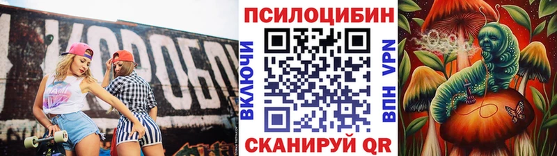 Галлюциногенные грибы Psilocybine cubensis  Сорочинск 