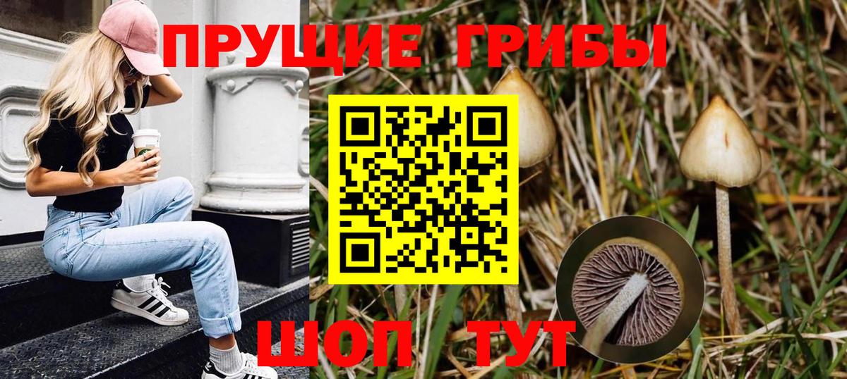Галлюциногенные грибы мухоморы  магазин продажи наркотиков  Сорочинск  Вход с VPN 
